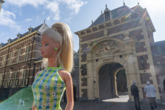 06_denhaag08_gate-at-binnenhof_6203