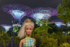 twb_singapore_08_gardenbythesea_net_4666