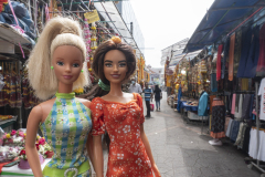 twb_singapore_10_littleindia_net_4673
