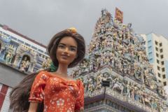 twb_singapore_11_littleindia_net_4679