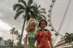twb_singapore_14.2_singaporeflyer_net_4845