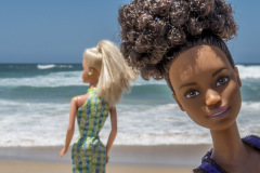 southafrica_33_beach4_photobombing_1793