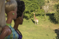 southafrica_36_safari_giraffe_2455