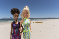 southafrica_39_beach5_2577