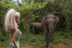 srilanka_50_twb_srilanka_yalanationalpark_9104-Kopie