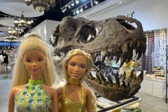 09Abu-Dhabi_IMG_1959