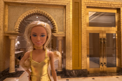 17Abu-Dhabi_IMG_1988