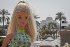 20Abu-Dhabi__TWB7607