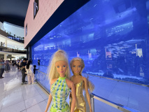12_dubaiIMG_1550