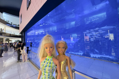 12_dubaiIMG_1550