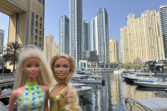 56_dubaiIMG_2253