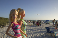 usa_florida_twb_beaches_barefootbeach_3089