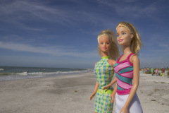 usa_florida_twb_beaches_sanibel_island_3180