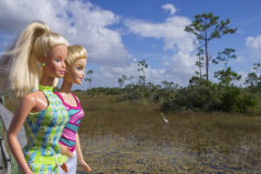 usa_florida_twb_everglades03_2765