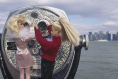 usa_ny_binoculars