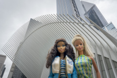 newyork_SNY7170