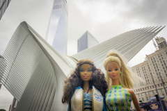 newyork_SNY7177