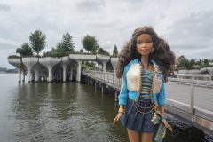 newyork_SNY7193