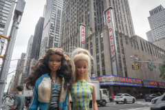 newyork_SNY7238