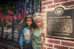 newyork_SNY7293