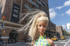 newyork_SNY7305