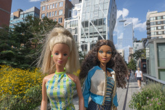 newyork_SNY7311