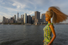 newyork_SNY7351