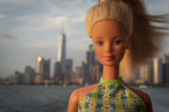 newyork_SNY7367