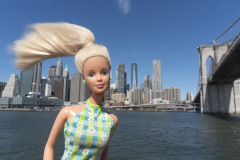 newyork_SNY7402