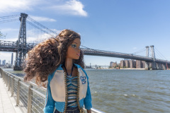 newyork_SNY7446
