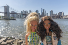 newyork_SNY7456