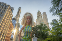 newyork_SNY7502