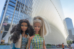 newyork_SNY7510