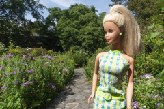 newyork_SNY7800