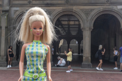 newyork_SNY7816