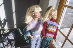 usa_lagrange_fritzi1