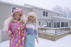 usa_lagrange_snowbackyard