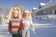 usa_lagrange_snowhousesun