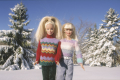 usa_lagrange_snowtannen
