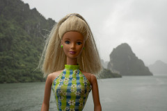 vietnam_halong-bay-cruise_TWB5132