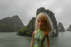 vietnam_halong-bay-cruise_TWB5147