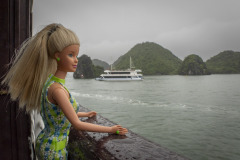 vietnam_halong-bay-cruise_TWB5158