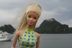 vietnam_halong-bay-cruise_TWB5163