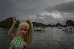 vietnam_halong-bay-cruise_TWB5200