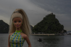 vietnam_halong-bay-cruise_TWB5209