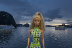 vietnam_halong-bay-cruise_TWB5229