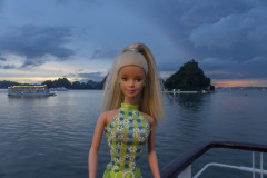 vietnam_halong-bay-cruise_TWB5249