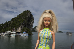 vietnam_halong-bay-cruise_TWB5294