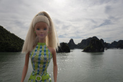 vietnam_halong-bay-cruise_TWB5301