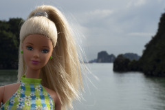 vietnam_halong-bay-cruise_TWB5304